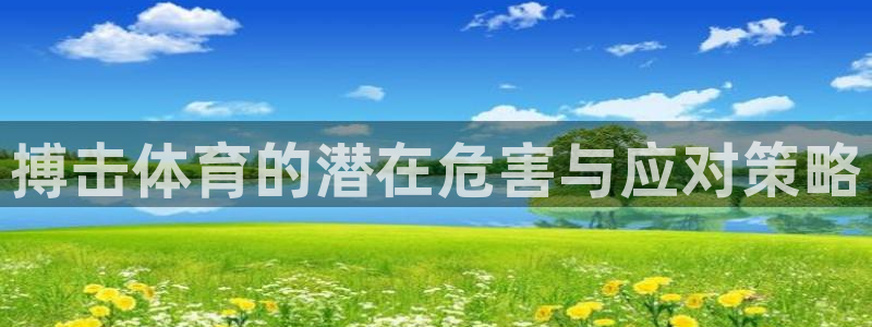 风暴体育直播