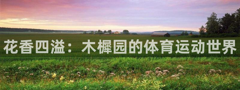 风暴体育邀请码是多少