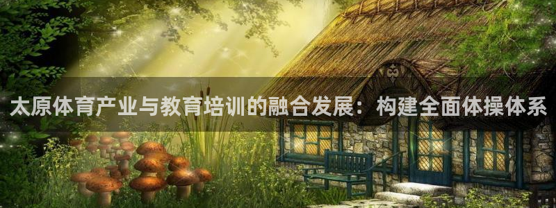 风暴体育
