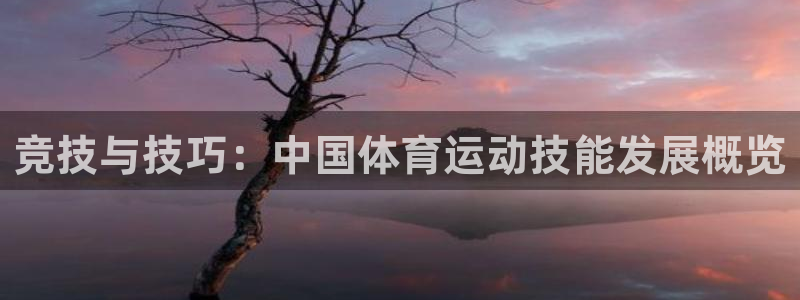 风暴体育app官方下载：竞技与技巧：中国体育运动技能发展概览